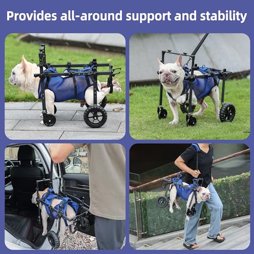 Duuclume Hunderollstuhl mit 4 Rädern für behinderte und ältere Hunde, verstellbare Mobilitätshilfe für Haustiere mit Griff, Rollstuhlwagen für Rücken-/Vorderbeine, Rehabilitation (S)