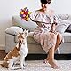 Larimuer Schnüffelball für Hunde, Schnüffelteppich Schnüffelspielzeug Interaktive Hundespielzeug tragbarer Haustier Snuffle Ball Toy für Kleine Mittelgroße Hunde Haustier (Rot und Regenbogen)