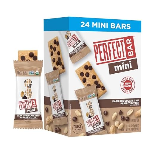 Perfect Bar Snack Size Dark Chocolate Chip Peanut Butter Protein Bar, Protein Snack, Snack Bar, Kids Bar, Organic, Gluten Free, Soy Free, Non GMO, No Sugar Alcohols.88 Ounce Bars, 24 Count