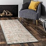 nuLOOM Rose Persian Vintage Runner Rug, 2' 6' x 6', Beige