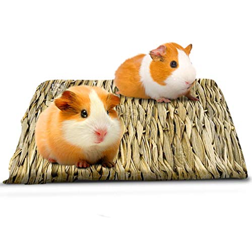 SunGrow Seagrass Guinea Pig Mat, Protect Paws from Wire Cage, Treat