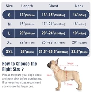 Waterproof-Dog-Raincoat-Reflective-Dog-Rain-Jacket-Lightweight-Dog-Poncho-with-Transparent-Brim-Hood-Harness-Hole-Pet-Rainwear-Dog-Slicker-for-Dog-Walking-Medium-Blue - Cucciolini Doodles   Waterproof-Dog-Raincoat-Reflective-Dog-Rain-Jacket-Lightweight-Dog-Poncho-with-Transparent-Brim-Hood-Harness-Hole-Pet-Rainwear-Dog-Slicker-for-Dog-Walking-Medium-Blue