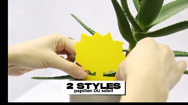 20 Piège Mouche Cerisier, Anti Moucherons Papier Collant Double Face Jaune Sticky Papiers Pour Blanc Feuille De Mouches Les Pucerons 15cm X 20 Cm 88449400