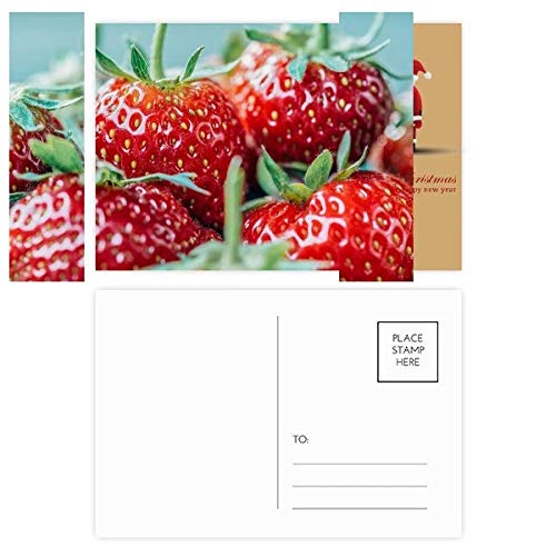 Cartes postales Fresh Strawberry lot de 20 à offrir pour les passionnés d'écriture