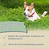 Krauterie Pfefferminze Hund, Einzelfuttermittel für Hunde (100 g), Pfefferminzblätter Pulver in Spitzenqualität