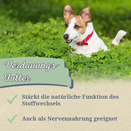 Krauterie Pfefferminze Hund, Einzelfuttermittel für Hunde (100 g), Pfefferminzblätter Pulver in Spitzenqualität