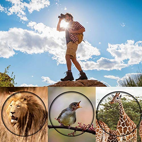 Telescope 60X60 Hd Binoculars High Clarity 10000M High Power For Outdoor Hunting Optical Lll Night Vision Binocular Fixed Zoom #TOP5