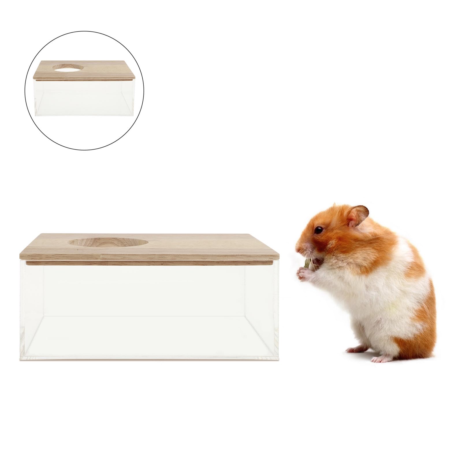 POPETPOP Transparente Hamsterbadewanne aus Acryl Multifunktions Sandbad und Toilette für Kleintiere Praktische Sandbadewanne für Chinchillas und Rennmäuse