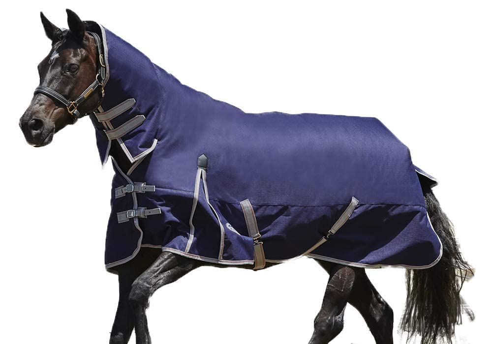 Couverture d'extérieur pour cheval imperméable et coupe-vent avec couvre-cou amovible