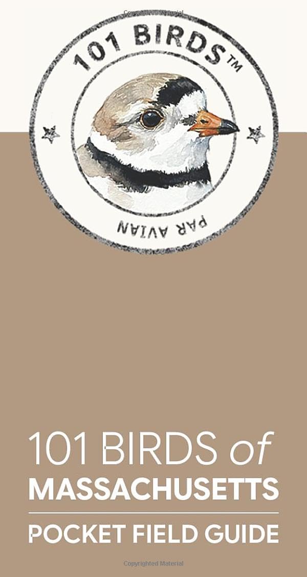 101 Birds of Massachusetts: Pocket Field Guide (101 Birds Pocket Field Guides)
