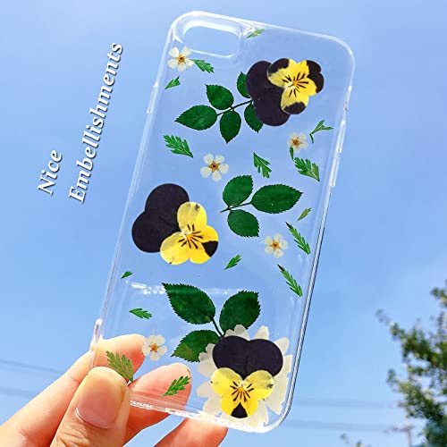 60 flores secas prensadas de pensamiento para resina miniatura 6