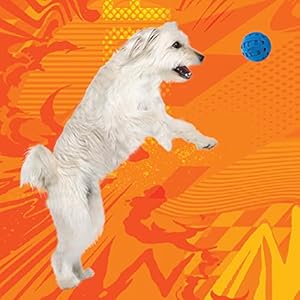 Nerf Dog Rubber Ball Dog Toy with Checkered Squeaker Lightweight Durable and Water Resistant 4 Inch Diameter for Mediumlarge Breeds Single Unit Blue  Cucciolini Doodles Nerf dog rubber ball dog toy with checkered squeaker lightweight durable and water resistant 4 inch diameter for mediumlarge breeds single unit blue   cucciolini doodles