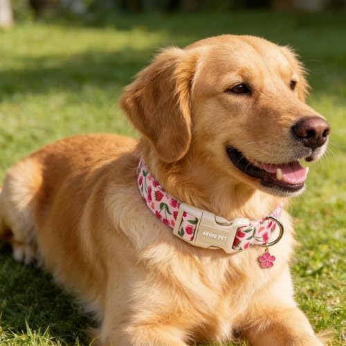 Image of ARING PET Dog Collar, Cute Spring Summer Strawberry Cherry Pet Collars for Puppy Small Medium Large Boy Girl Dogs-L, for Daily Outdoor Walking Training