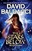 The Stars Below (Vega Jane, Book 4)