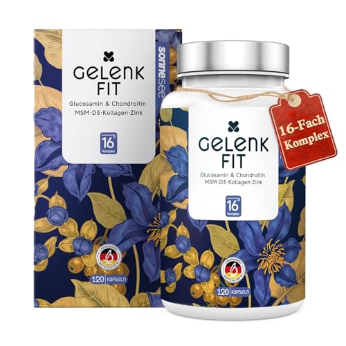 Articulación Fit SonneSee Glucosamina + Condroitina 1500 mg Complejo 16 veces con MSM, cúrcuma, vitaminas y minerales apoyo articular, formación de cartílagos