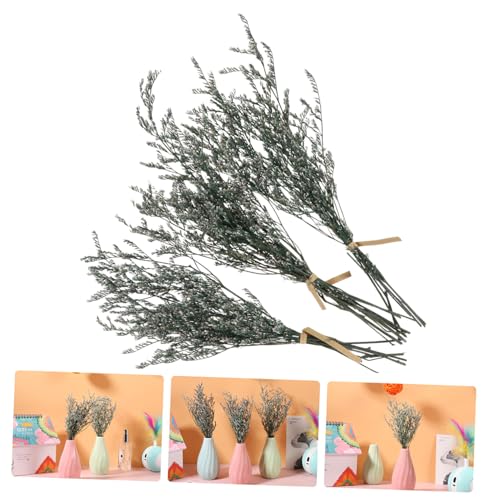 Ramo de flores secas Gypsophila para decoración miniatura 7
