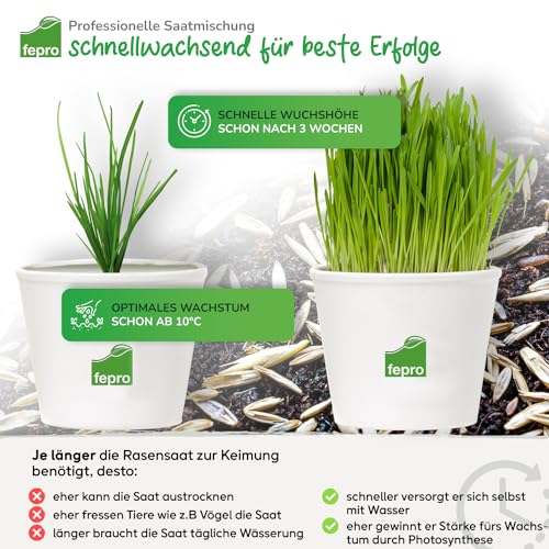 20 kg Rasensamen trockenresistent dürreresistent für Trockenrasen & Schattenrasen Samen Grassamen schnellkeimend, 800m², ideal für Neuansaat und Nachsaat, Rasensaat Grassamen