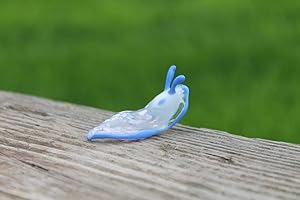 Nudibranch Sea Slug Figurine
