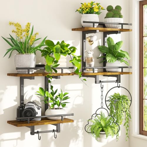 iDavosic.ly Wall Plant Holder Set of 2 2 Tier Indoor Floating Shelves with 4 Hooks for Hanging Plants Wall Mounted Space Saving Display Stand for Living Room Bedroom (Pots/Chains Not Included)
