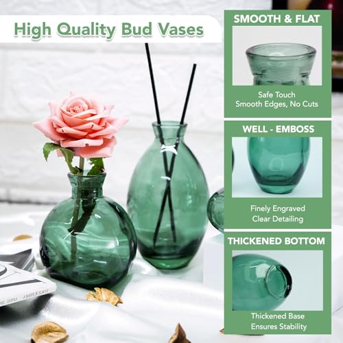 Mini articles de décoration de table centrale et petits vases en verre Ekhasa - 6