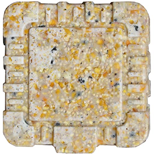 C&S High Energy Suet Treat, 12/Pack 11.75 Ounces #TOP7