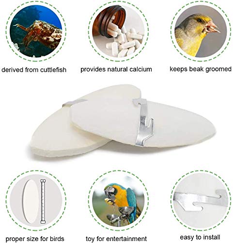 Jmxu's 5"-5.5" Bird Cuttlebone For Parakeets, Cuddle Bone With Metal Holder, Chewing Cuttlefish Bone For Sharp Beaks, Natural Birds Calcium Suitable For Parrots Cockatiels Budgie(6 Pack) #TOP4