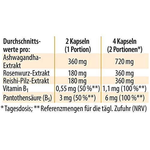 Dr. Jacob’s nervenstark Dose 50 g I für geistige Leistung und weniger Müdigkeit¹ I mit Ashwagandha, Rhodiola und Reishi, 100 pflanzliche Kapseln