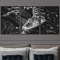 3 Piece Framed Canvas Wall Art Alligators Dramatic Canvas Prints Home Artwork Decoration for Living Room,Bedroom - 16