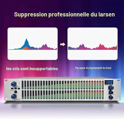 Égaliseur audio numérique avec réduction du bruit, égaliseur graphique stéréo 31 bandes, 10 effets prédéfinis pour une utilisation à la maison, sur scène et en studio