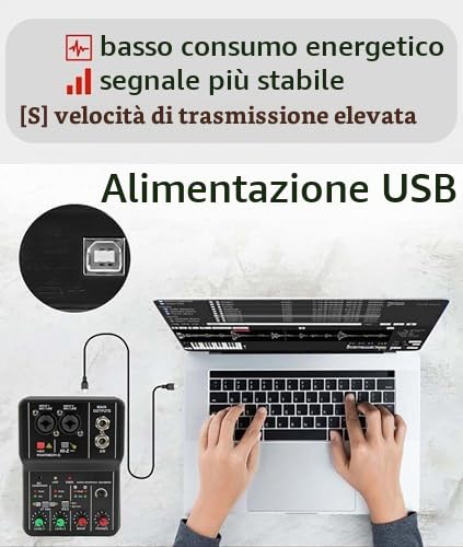 Mini Mixer Audio, 2 Canali USB Portatile Scheda Audio Live Scheda Audio Console con Alimentazione Phantom 48V, Mixer DJ 16 BIT 48 KHZ, per Registrazione Karaoke Streaming Youtube