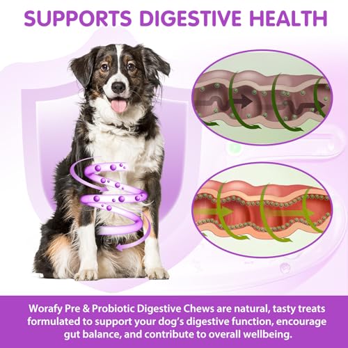 Probiotika für Hunde, 120 Stück, Pekingente-Geschmack, Probiotika Hund Darmgesundheit, Verdauungssnack für Hunde – Stärken das Immunsystem