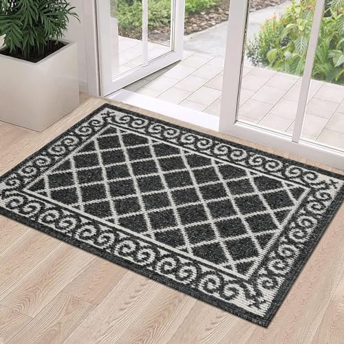 HEBE Indoor Door Mat 24"x36" Non Slip, Washable Welcome Mats for Front Door Entrance, Low Profile Dirt Trapper Doormat Entry Carpet for Entryway, Kitchen, Bathroom