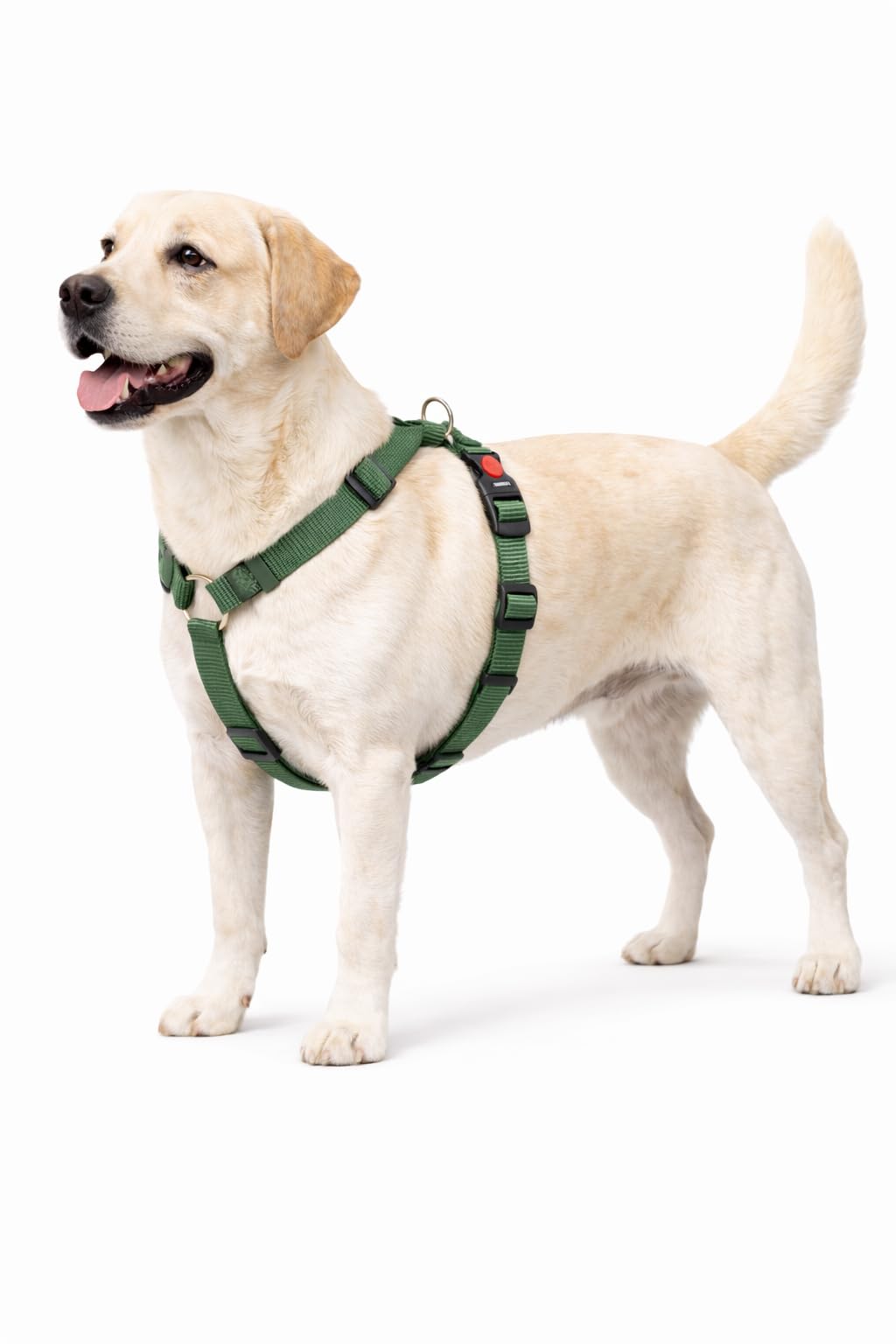 Dog Harness H-shape Ziggi Khaki L 60-85cm 70-100cm 25mm