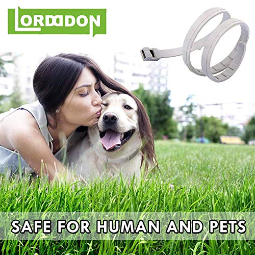 LORDDDON Dog Flea Collars with Reflectors Vet-Recommended Flea and Tick Prevention Collar for Dogs Above 18 lbs Large… - Image 6