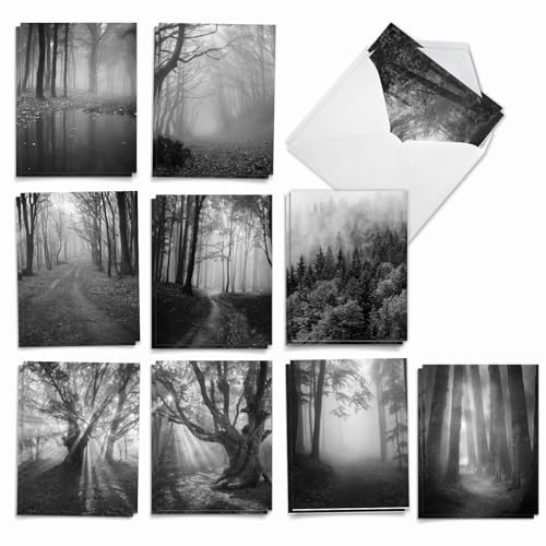 Misty Woods: 20 tarjetas de felicitación de condolencias surtidas que muestran árboles de aspecto solitario en la niebla, con sobres. AM7167SMG-B2x10 extensión de la garantía