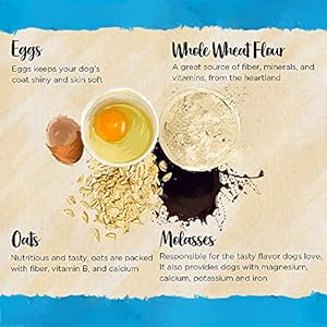 Blue-Dog-Bakery-Natural-Dog-Treats-Mini-Crunch-Assorted-Flavors-162oz-3-Count - Cucciolini Doodles   Blue-Dog-Bakery-Natural-Dog-Treats-Mini-Crunch-Assorted-Flavors-162oz-3-Count