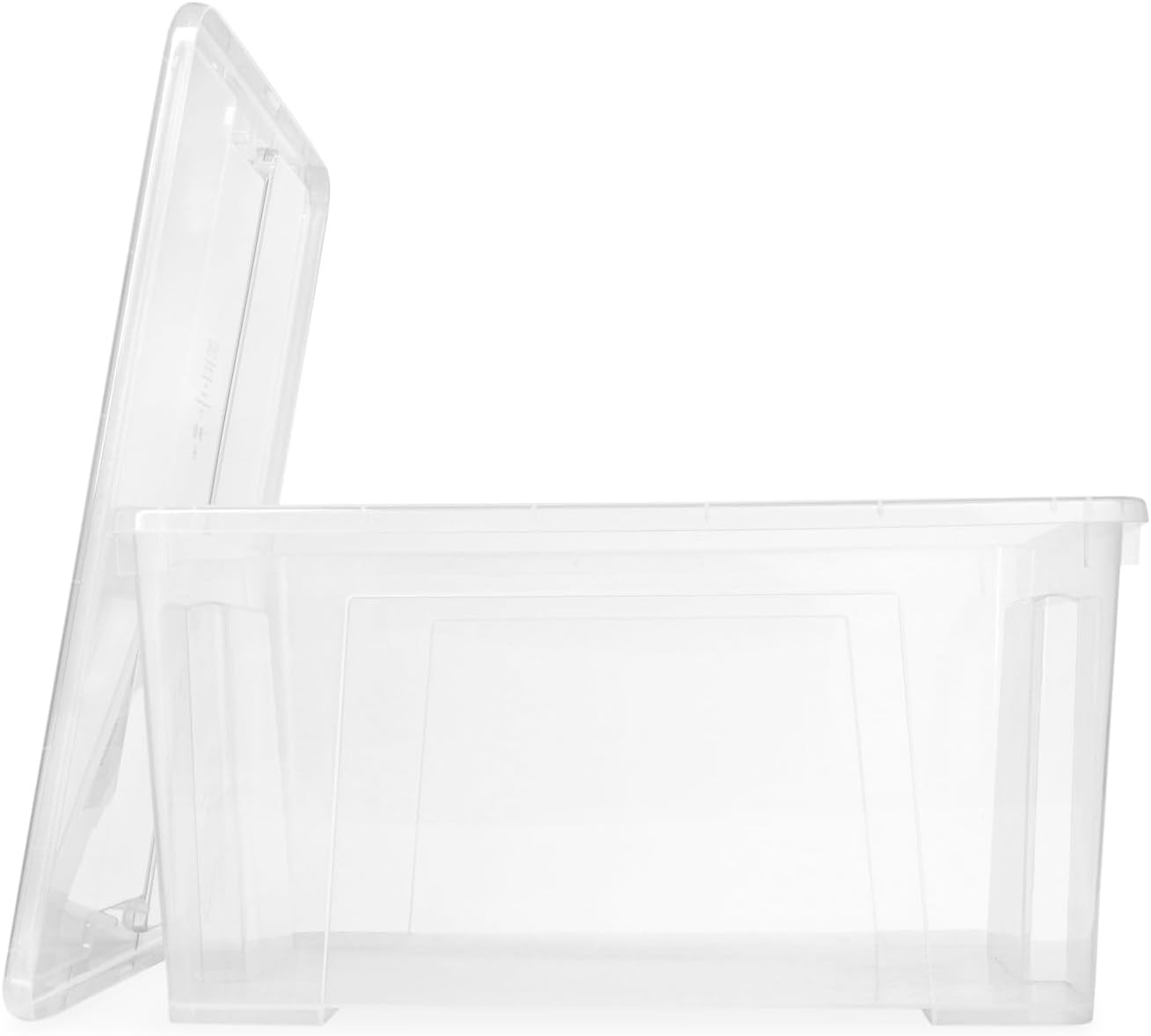 BUGUUYO Aufbewahrungsbox Transparent - Mit Deckel & Tragegriff 31x22x17cm