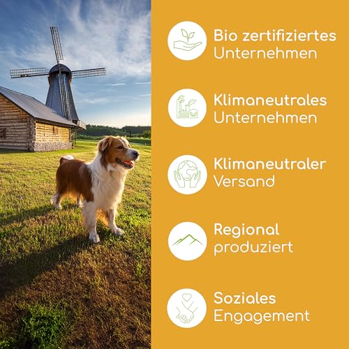 Entfilzungsspray für Hunde & Katzen – Natürliche Kämmhilfe & Fellpflegespray – Löst Verfilzungen & Knoten – Mit angenehmem Kokosduft für glänzendes Fell 200ml
