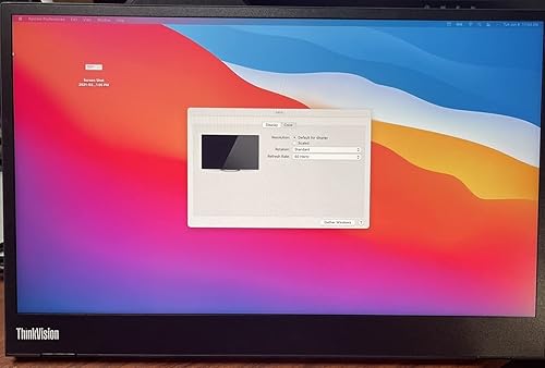 Lenovo ThinkVision M14 - Monitor IPS Full HD 1920 x 1080 de 14 pulgadas, 300 Nit, 6ms, 2 puertos USB tipo C, pantalla LCD retroiluminada widescreen,