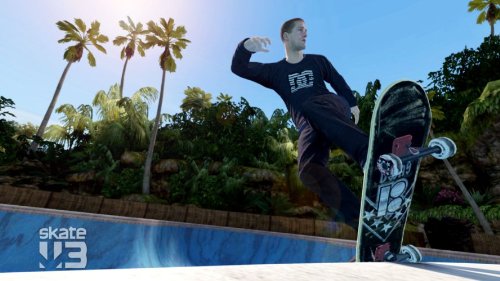 スケート3 (Skate3)の関連画像2