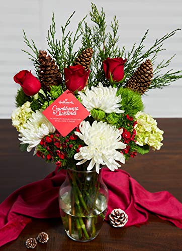 Hallmark Channel Countdown to Christmas Holiday Bouquet