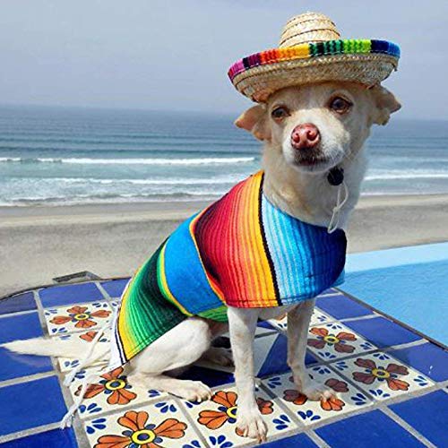 Dog Sombrero Hat, Mini Straw Sombrero Hats Mexican Hats Sombrero Party Hats for Small Pets/Puppy/Cat - Image 6