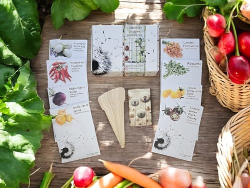 Coffret graines balcon terrasse permaculture urbaine durable - 2