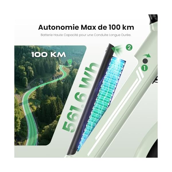 Vélo Électrique 27,5", Moteur 250W, Batterie 561.6WH Amovible, Autonomie Jusqu’à 100 km, 7 Vitesses, Écran LCD, 25 km/h, Charge Max 120 kg, Modèle Mixte E-Bike