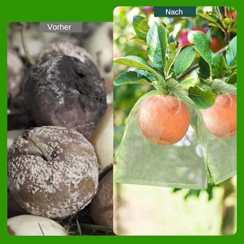 Red de verduras con 200 bolsas con cordón para tomates y dulces en casa 5
