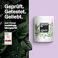 natural elements Ballaststoff Mix – 600g – 9 natürliche Quellen – mit Inulin und Akazienfaser – vegan, ohne Zuckerzusatz (enthält von Natur aus Zucker) – in Deutschland produziert & laborgeprüft – Ansicht 7