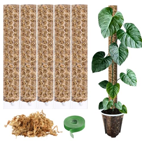 Moosstab für Monstera Rankhilfe Zimmerpflanzen Zubehör Set - 5 x Pflanzstäbe, Pflanzen Klettband & Moos - Optimiert für Aroiden - Kletterpflanzen Befestigung - 35 x 6 cm - Set