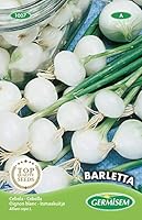 Petit oignon blanc, à consommer frais ou à confire. Semez en lignes à maximum 1 cm de profondeur. Distance entre les lignes: 10 cm. Pour le bon développement du feuillage, éclaircissez les plantules à 6 cm. La récolte peut s'effectuer à plusieurs rep...