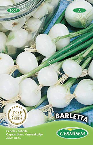 Germisem Barletta Semillas de Cebolla 4 g, EC1007