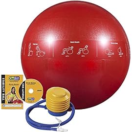 GoFit Professional Grade Stability Ball – Home Workout Supplies